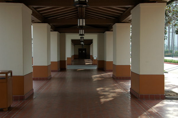 DSC 0041