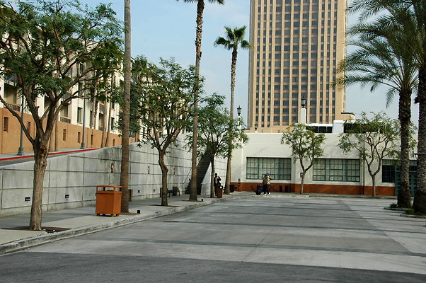 DSC 0019