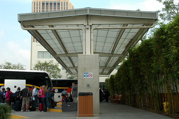 DSC 0007