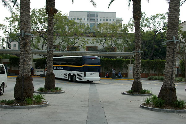 DSC 0018