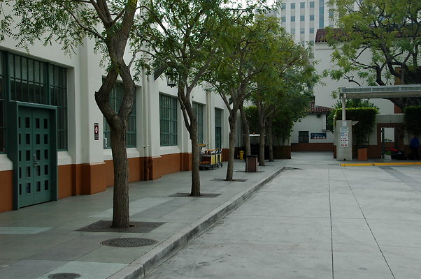 DSC 0015