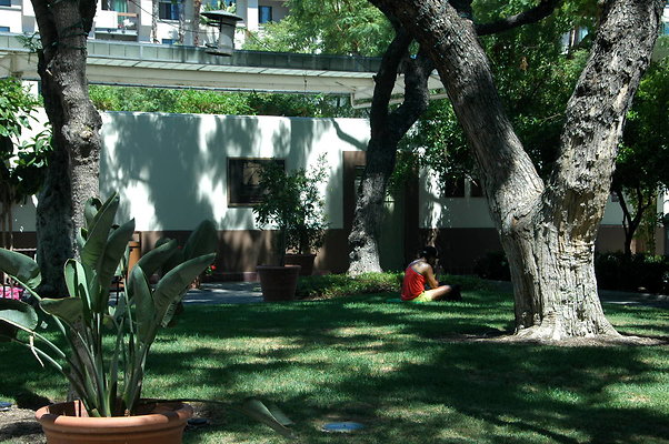 DSC 0029