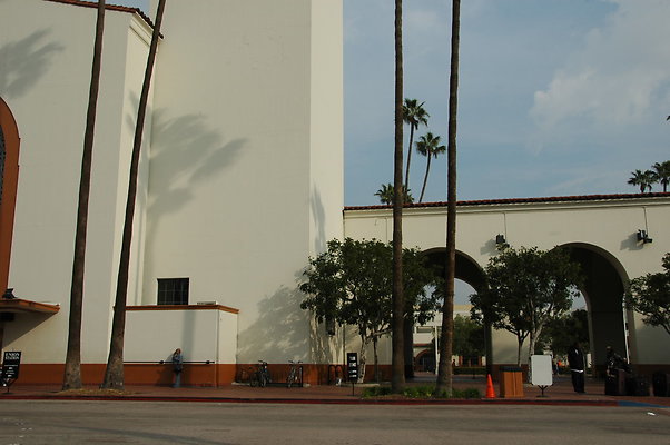 DSC 0010