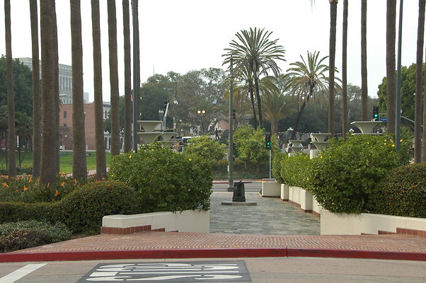 DSC 0017