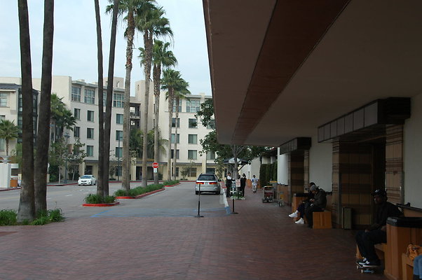 DSC 0018