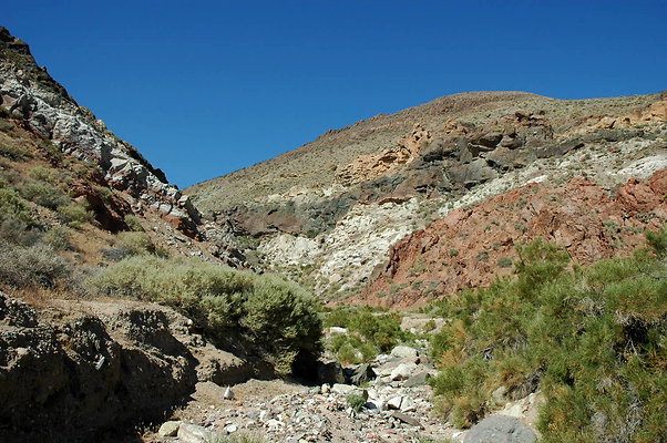 DSC 0002