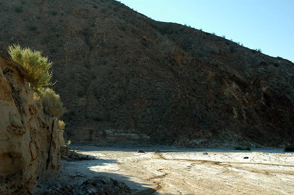 DSC 0021