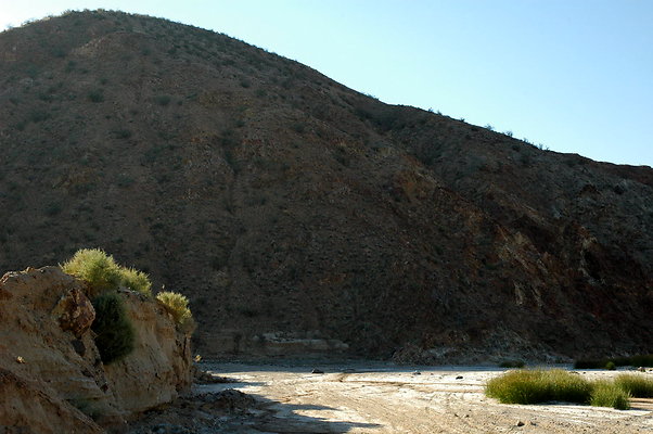 DSC 0020