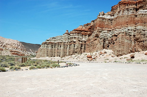 DSC 0008