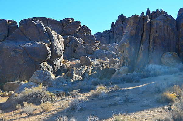 DF0 8095