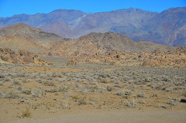 DF0 8091