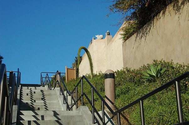 DSC 0013