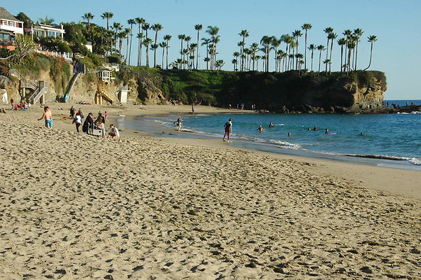 DSC 0009