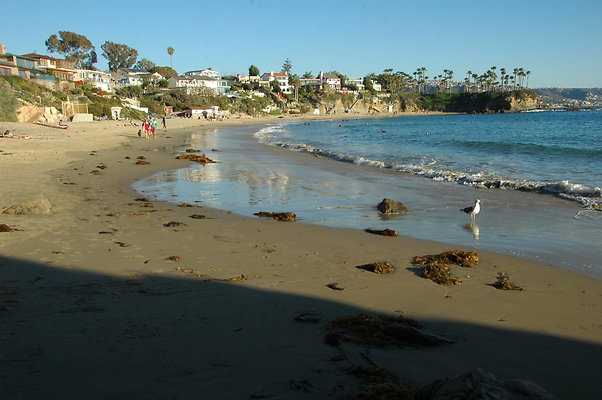 DSC 0022