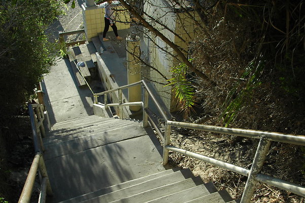 DSC 0010