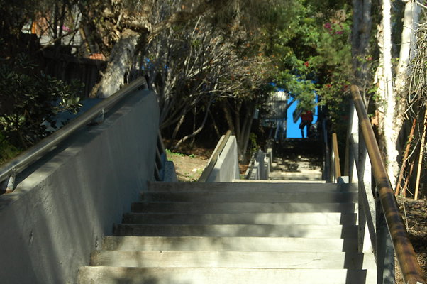 DSC 0006