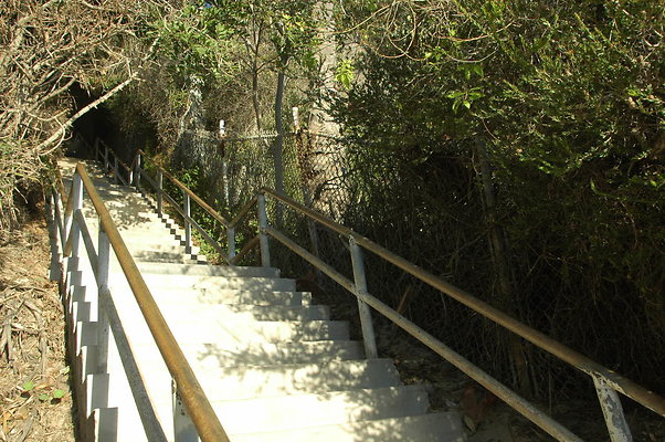DSC 0013