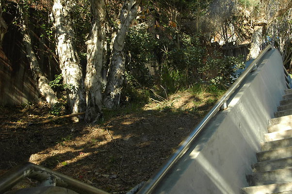 DSC 0007