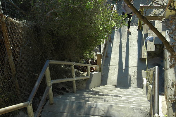 DSC 0009
