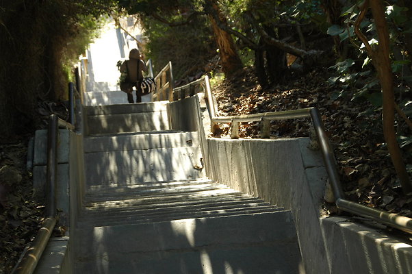 DSC 0005