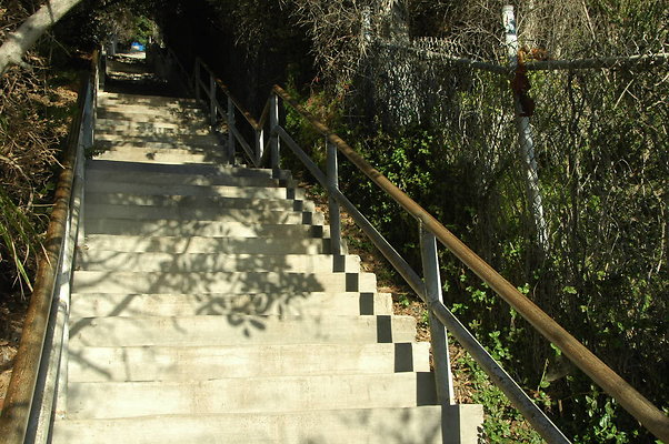DSC 0011