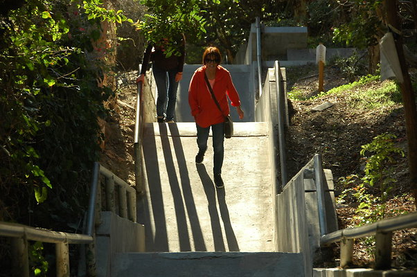 DSC 0002