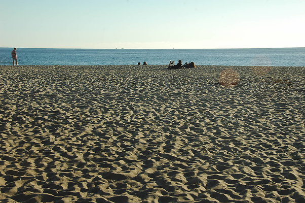 DSC 0018
