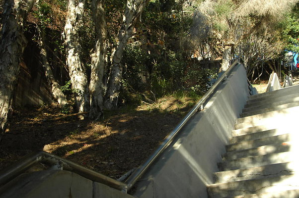 DSC 0008