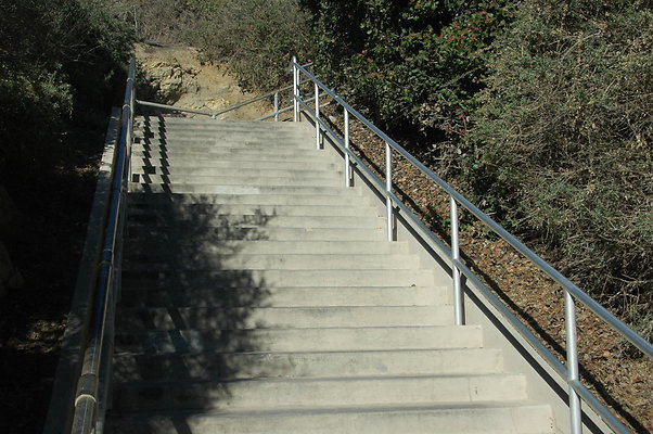 DSC 0010