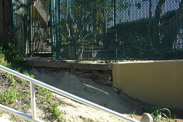 DSC 0006