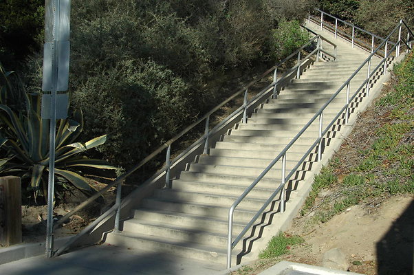 DSC 0004