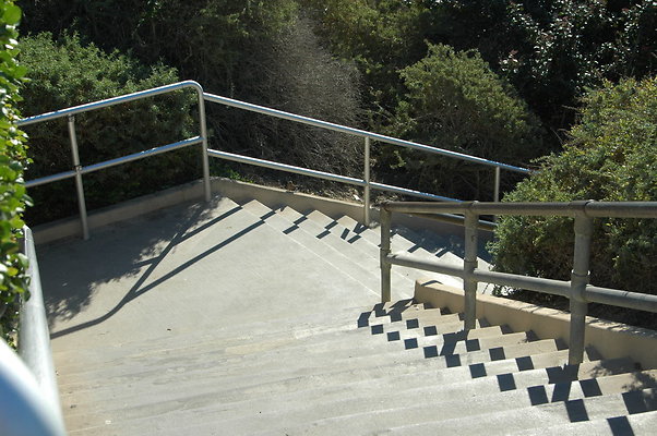DSC 0019