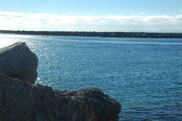 DSC 0049