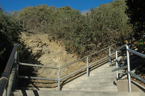 DSC 0013