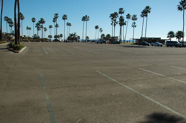 DSC 0030