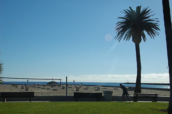 DSC 0031