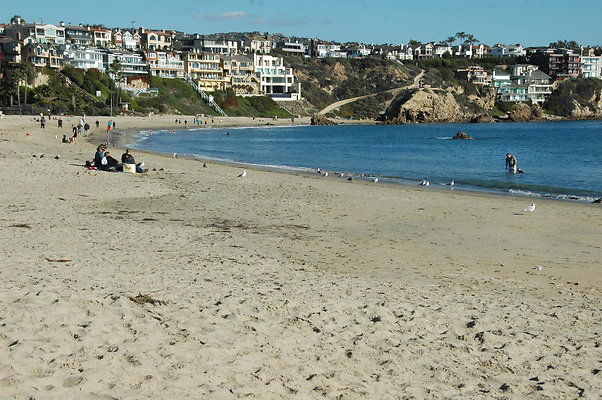 DSC 0037