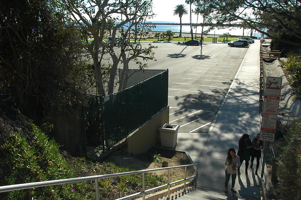 DSC 0029