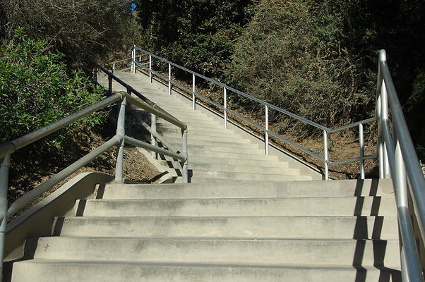 DSC 0009