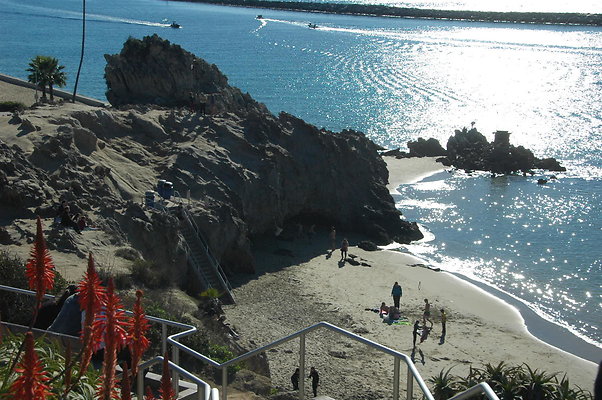 DSC 0023