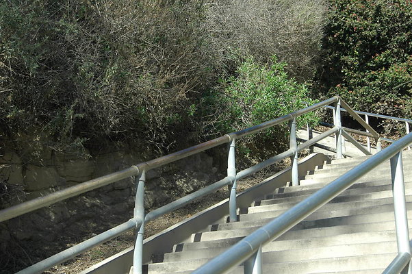 DSC 0005