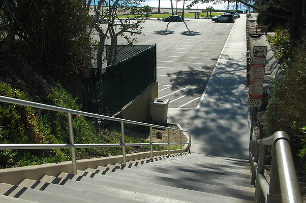 DSC 0011
