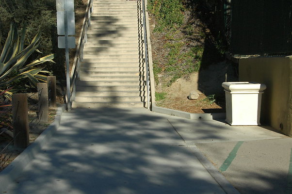 DSC 0002
