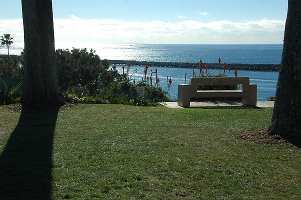DSC 0020