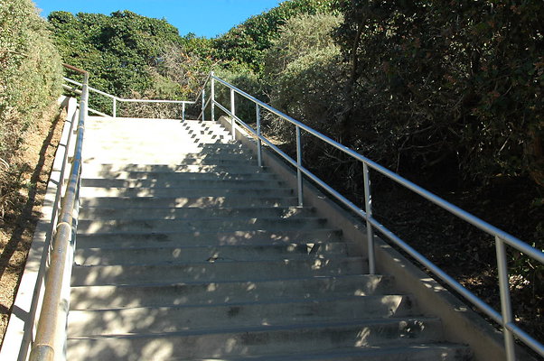 DSC 0014