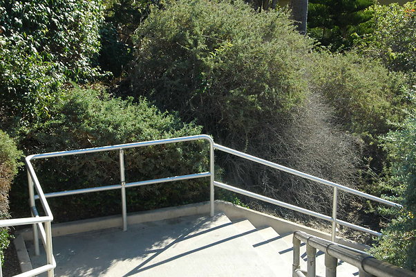 DSC 0018