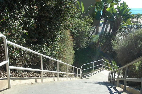 DSC 0015