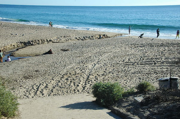 DSC 0006