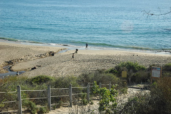 DSC 0003