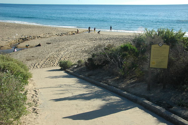 DSC 0004